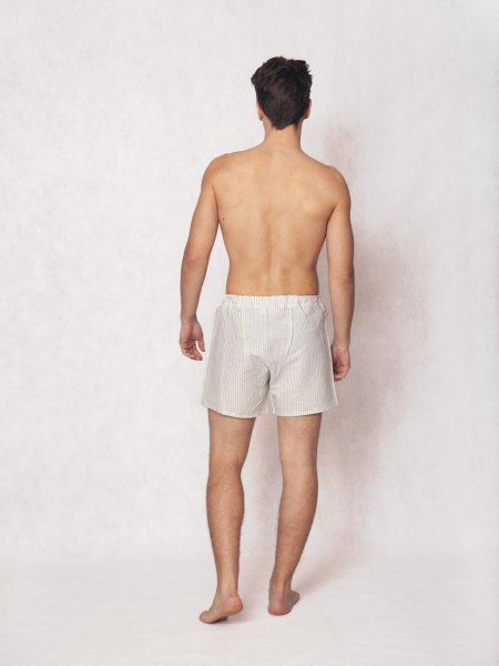 Боксеры limited strip